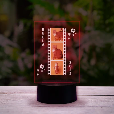 Personalizirana LED lampa - Mačke