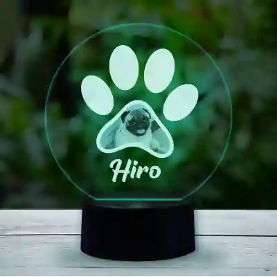 Personalizirana 3D LED lampa s tvojim kućnim ljubimcem