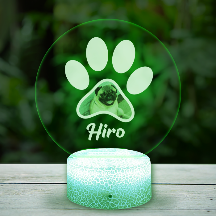 Personalizirana 3D LED lampa s tvojim kućnim ljubimcem
