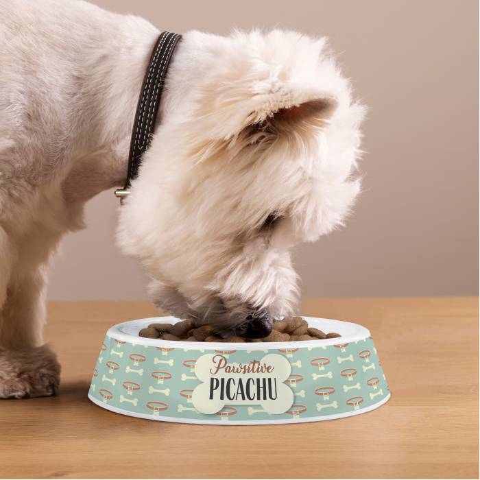 Personalizirana plastična zdjela za pse – Pawsitive