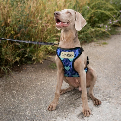 Prilagođeni pojas za psa - S imenom