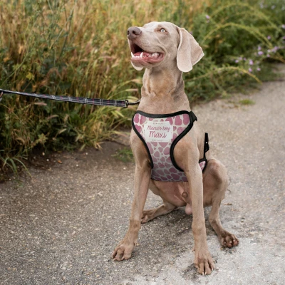 Prilagođeni pojas za psa - Mamin dečko