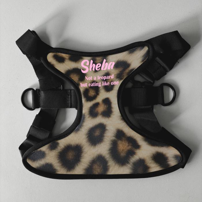 Prilagođeni pojas za psa - Jede kao leopard