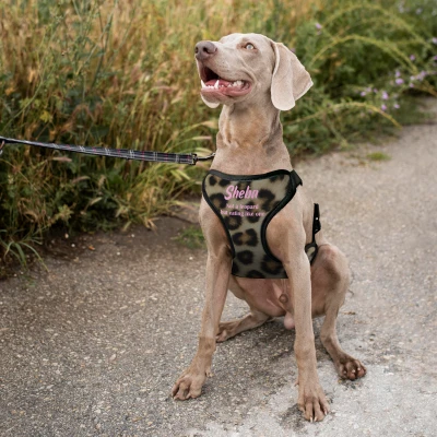 Prilagođeni pojas za psa - Jede kao leopard