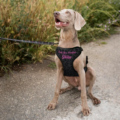 Prilagođeni pojas za psa - Predator