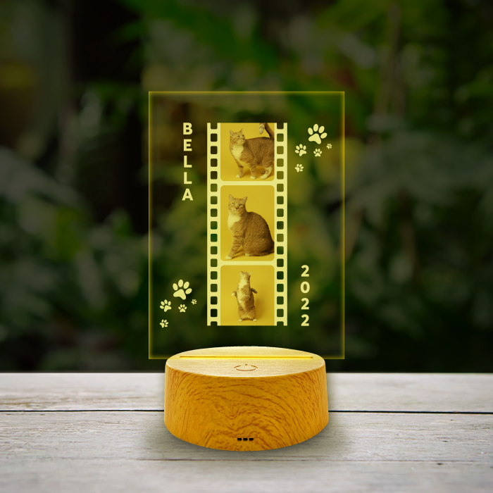 Personalizirana LED lampa - Mačke