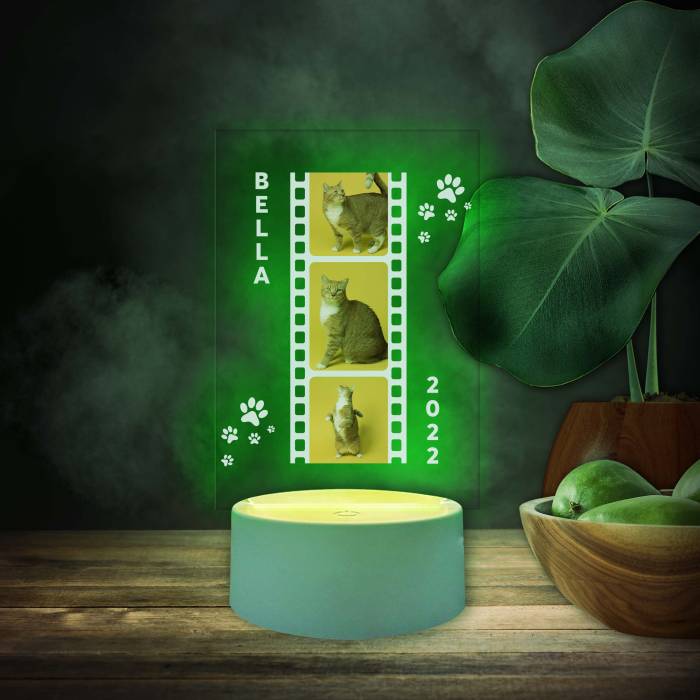 Personalizirana LED lampa - Mačke
