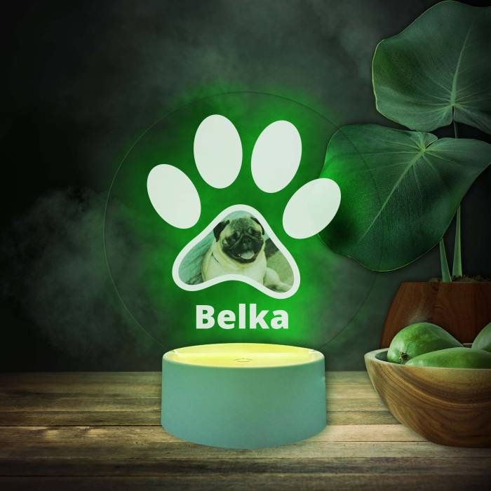 Personalizirana 3D LED lampa s tvojim kućnim ljubimcem