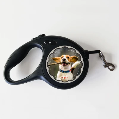 Povodac za psa - Sve što ti treba