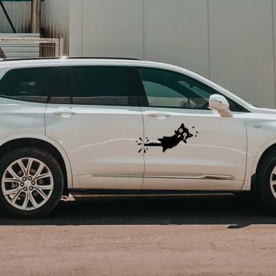 Auto naljepnica - Rep u vratima