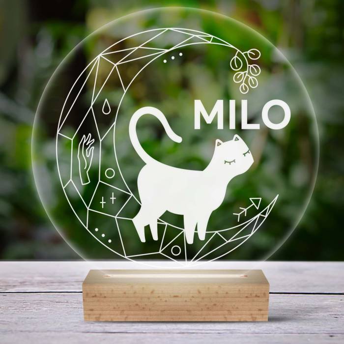 Personalizirana LED lampa s mačkom