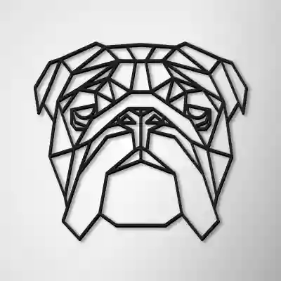 Ukras za zid - Buldog