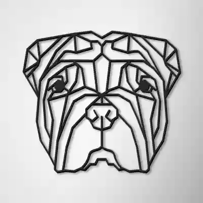Ukras za zid - Shar Pei