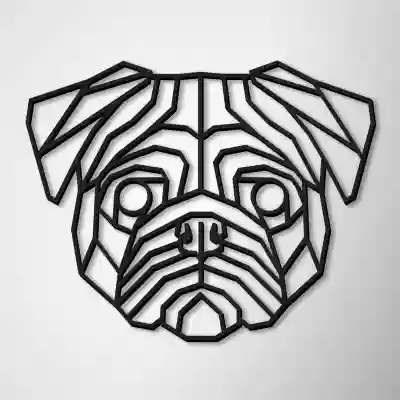 Ukras za zid - PUG